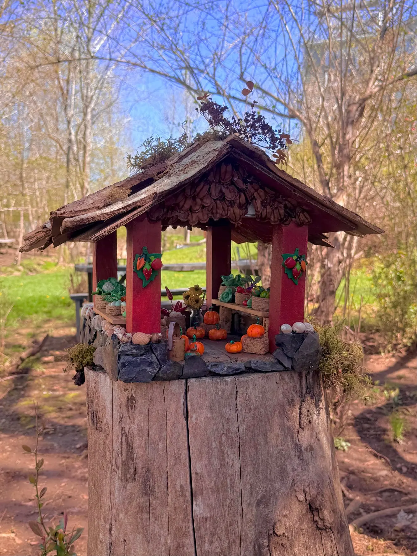 An open-sided faerie pavilion made of twigs and bark, glowing in spring sunshine in Mahone Bay.
