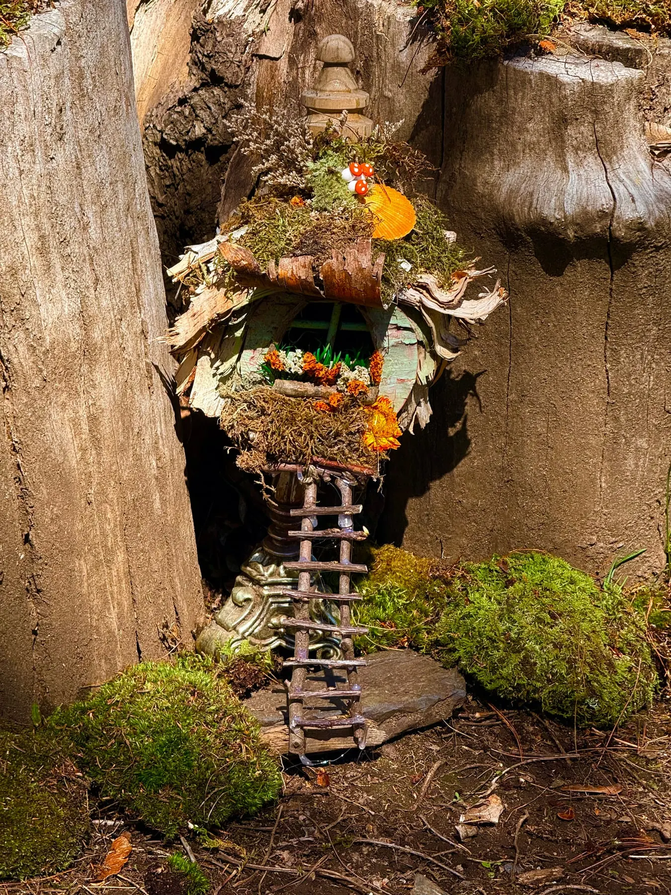 A faerie house tucked high in a tree, reached by a little ladder.