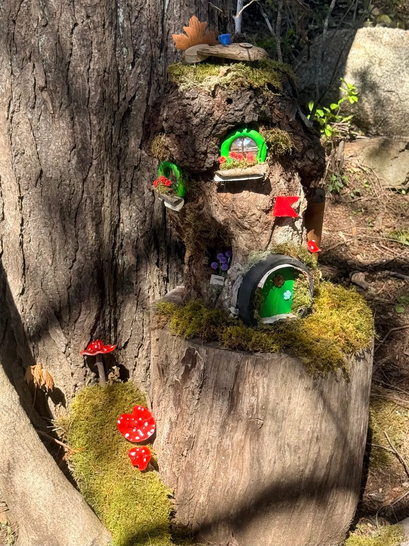 Two tiny doors set into a weathered tree stump, softened with green moss along the faerie trail.